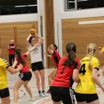 2016_01_23 Landesliga Frauen